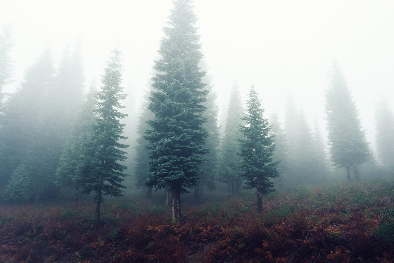 photo-jay-mantri-n-176